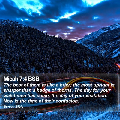 Micah 7:4 BSB Bible Verse Image