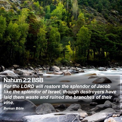 Nahum 2:2 BSB Bible Verse Image