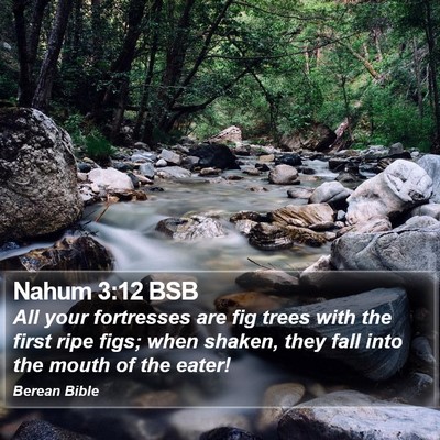 Nahum 3:12 BSB Bible Verse Image