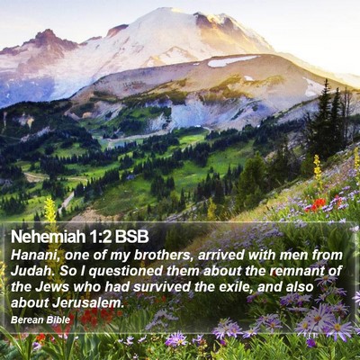 Nehemiah 1:2 BSB Bible Verse Image