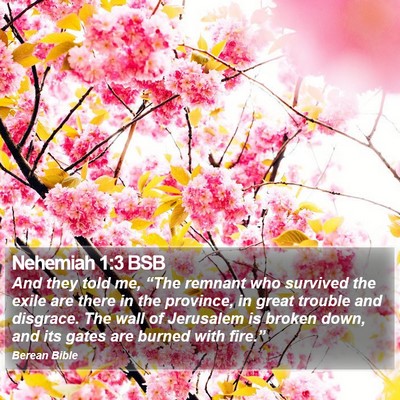 Nehemiah 1:3 BSB Bible Verse Image