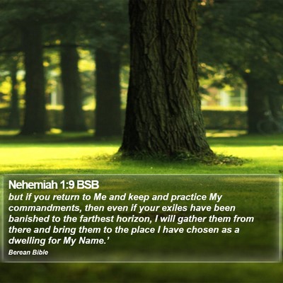 Nehemiah 1:9 BSB Bible Verse Image