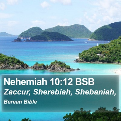 Nehemiah 10:12 BSB Bible Verse Image