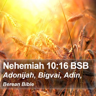 Nehemiah 10:16 BSB Bible Verse Image