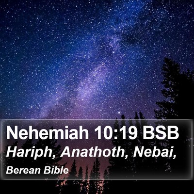 Nehemiah 10:19 BSB Bible Verse Image