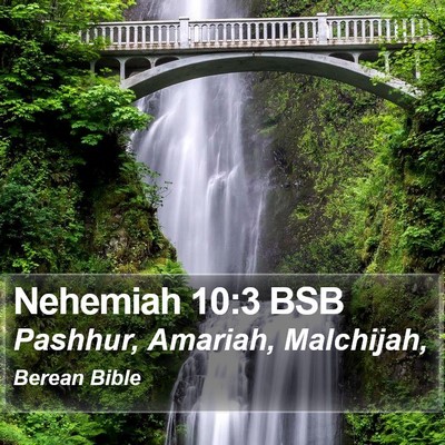 Nehemiah 10:3 BSB Bible Verse Image