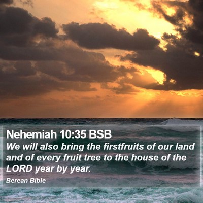 Nehemiah 10:35 BSB Bible Verse Image