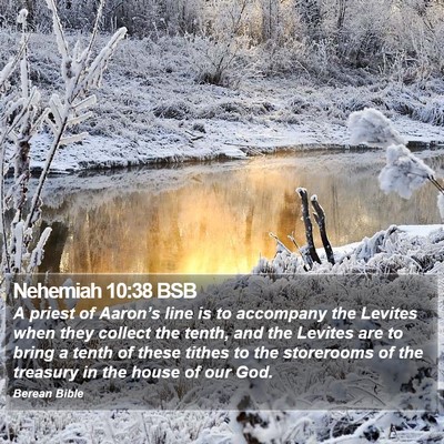 Nehemiah 10:38 BSB Bible Verse Image