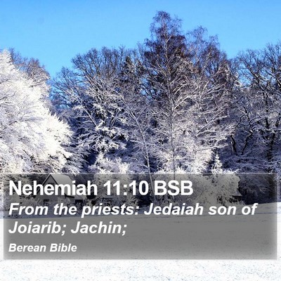 Nehemiah 11:10 BSB Bible Verse Image