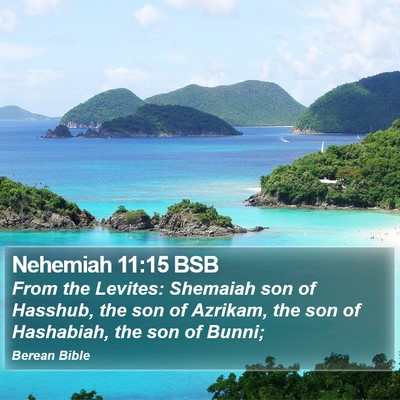 Nehemiah 11:15 BSB Bible Verse Image