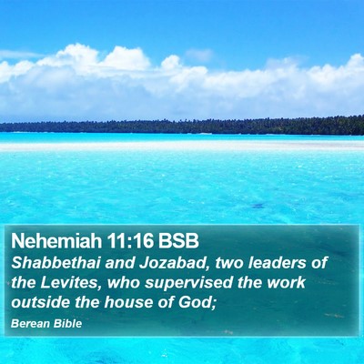 Nehemiah 11:16 BSB Bible Verse Image