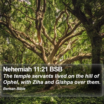 Nehemiah 11:21 BSB Bible Verse Image