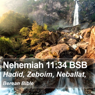 Nehemiah 11:34 BSB Bible Verse Image