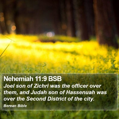 Nehemiah 11:9 BSB Bible Verse Image