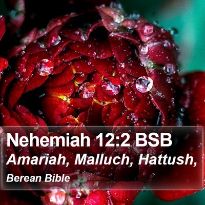 Nehemiah 12:2 BSB Bible Verse Image