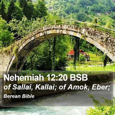 Nehemiah 12:20 BSB Bible Verse Image