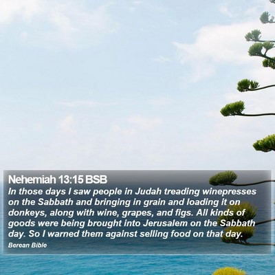 Nehemiah 13:15 BSB Bible Verse Image