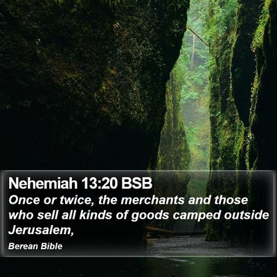 Nehemiah 13:20 BSB Bible Verse Image