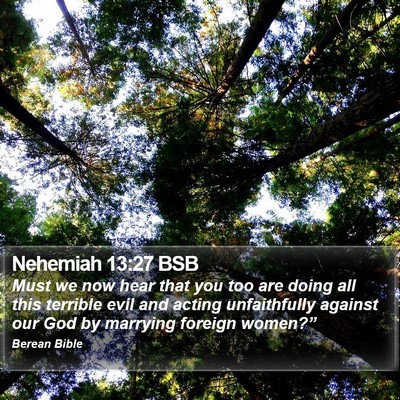 Nehemiah 13:27 BSB Bible Verse Image