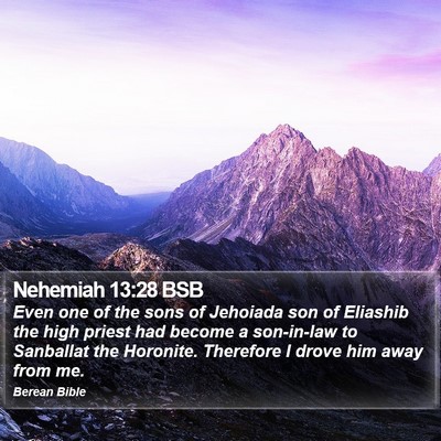 Nehemiah 13:28 BSB Bible Verse Image