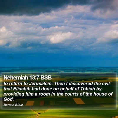 Nehemiah 13:7 BSB Bible Verse Image
