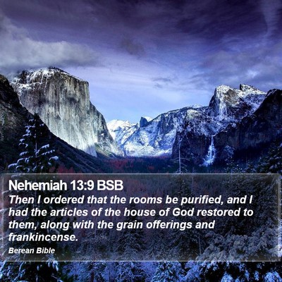 Nehemiah 13:9 BSB Bible Verse Image