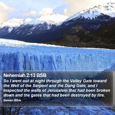 Nehemiah 2:13 BSB Bible Verse Image