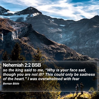 Nehemiah 2:2 BSB Bible Verse Image