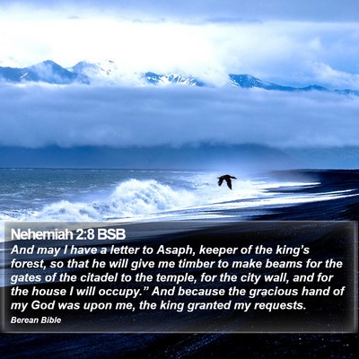 Nehemiah 2:8 BSB Bible Verse Image