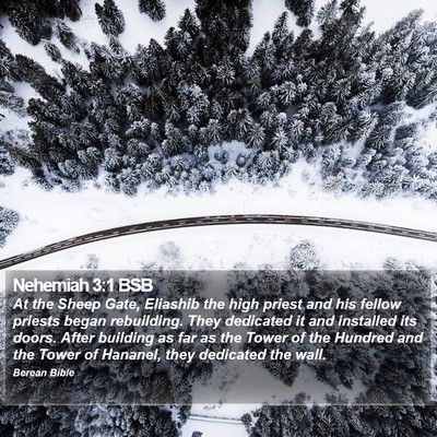 Nehemiah 3:1 BSB Bible Verse Image