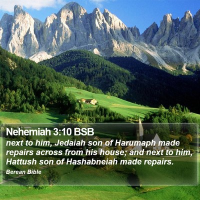 Nehemiah 3:10 BSB Bible Verse Image