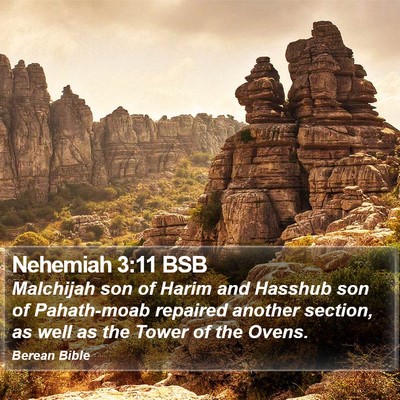 Nehemiah 3:11 BSB Bible Verse Image