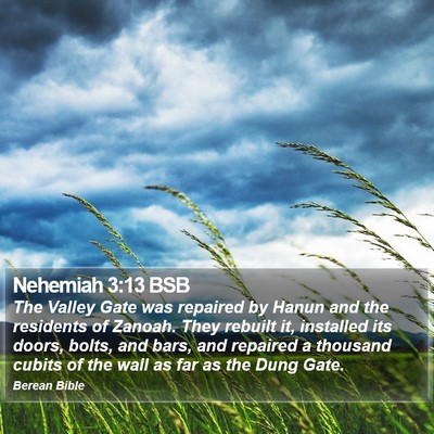 Nehemiah 3:13 BSB Bible Verse Image