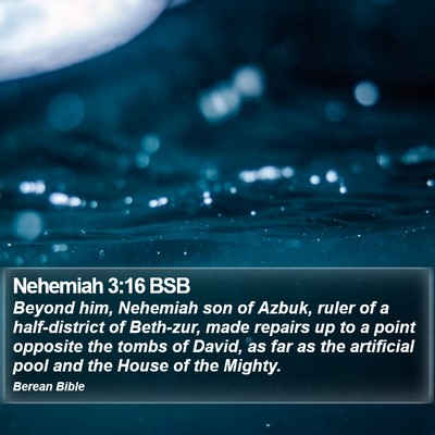 Nehemiah 3:16 BSB Bible Verse Image