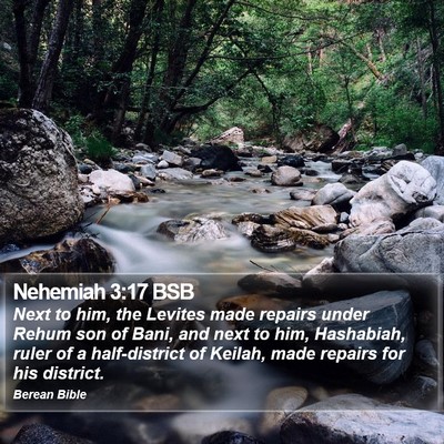 Nehemiah 3:17 BSB Bible Verse Image
