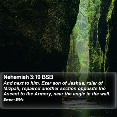 Nehemiah 3:19 BSB Bible Verse Image