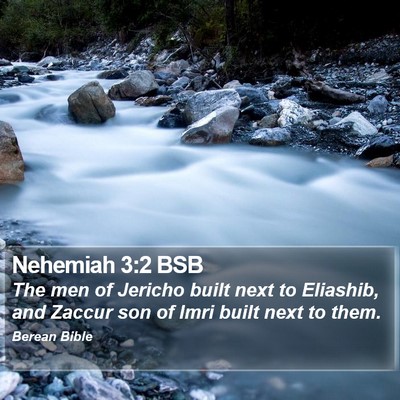 Nehemiah 3:2 BSB Bible Verse Image