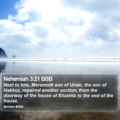 Nehemiah 3:21 BSB Bible Verse Image