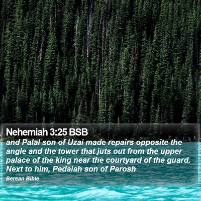 Nehemiah 3:25 BSB Bible Verse Image