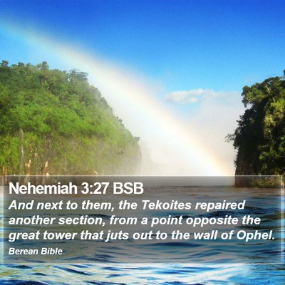 Nehemiah 3:27 BSB Bible Verse Image