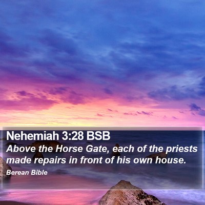 Nehemiah 3:28 BSB Bible Verse Image