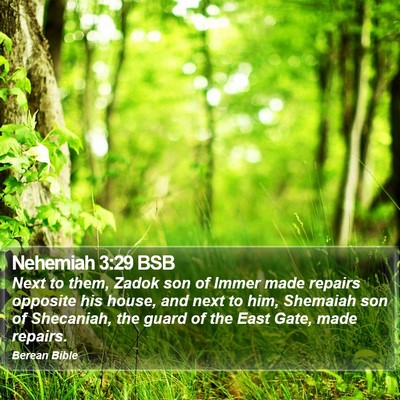 Nehemiah 3:29 BSB Bible Verse Image