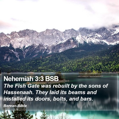 Nehemiah 3:3 BSB Bible Verse Image
