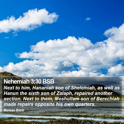 Nehemiah 3:30 BSB Bible Verse Image