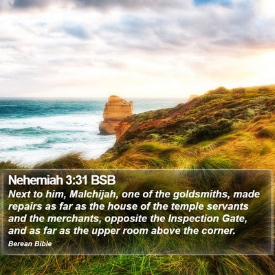 Nehemiah 3:31 BSB Bible Verse Image