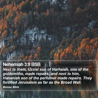 Nehemiah 3:8 BSB Bible Verse Image