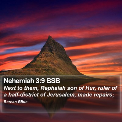 Nehemiah 3:9 BSB Bible Verse Image