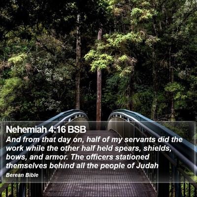 Nehemiah 4:16 BSB Bible Verse Image