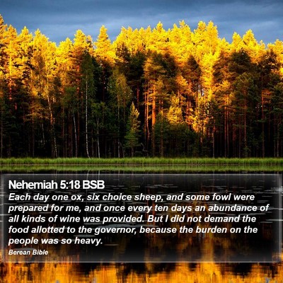 Nehemiah 5:18 BSB Bible Verse Image