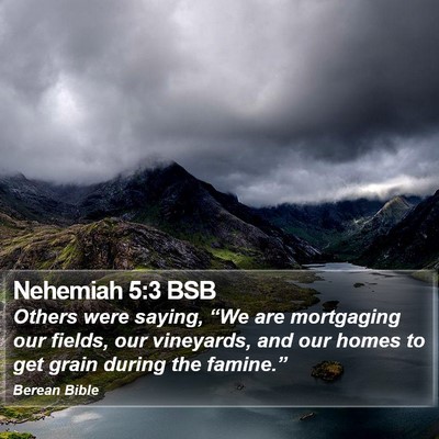 Nehemiah 5:3 BSB Bible Verse Image